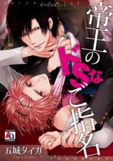 Copertina di Teiou no Do S na Goshimei