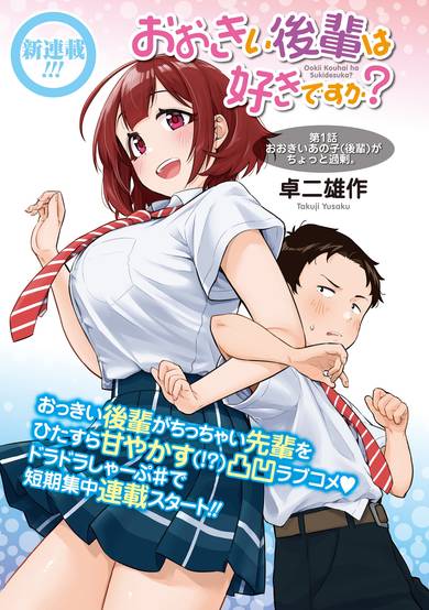 Copertina di Do You like Big Juniors?