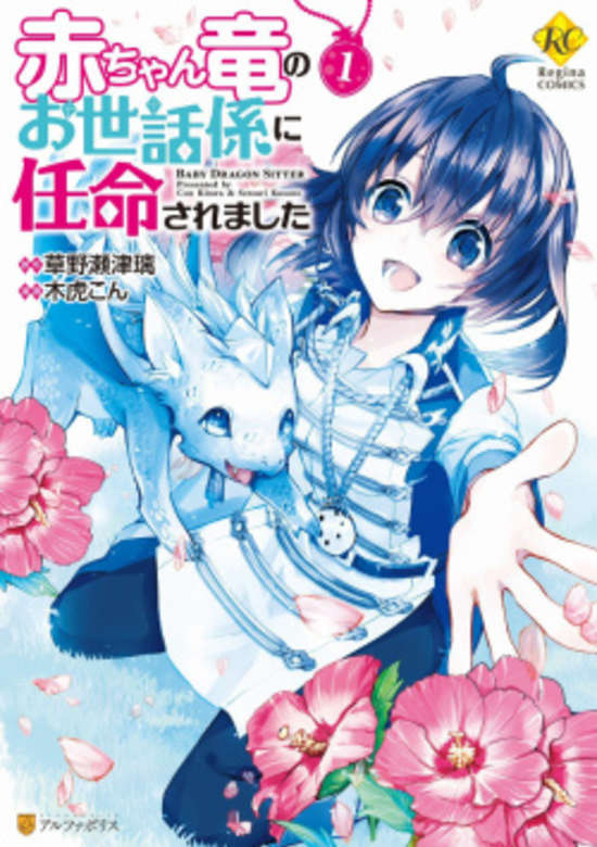 Copertina di Baby Dragon Sitter
