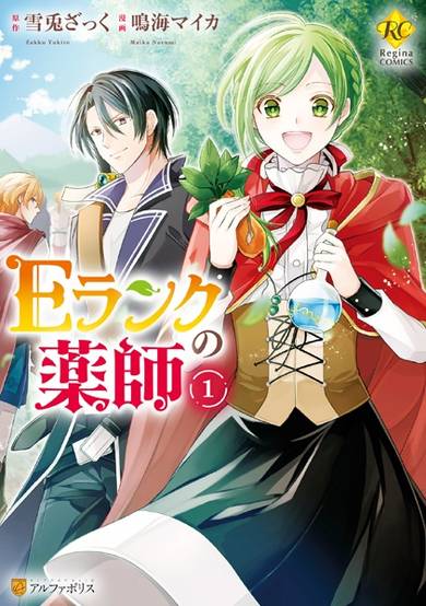 Copertina di E-Rank Healer