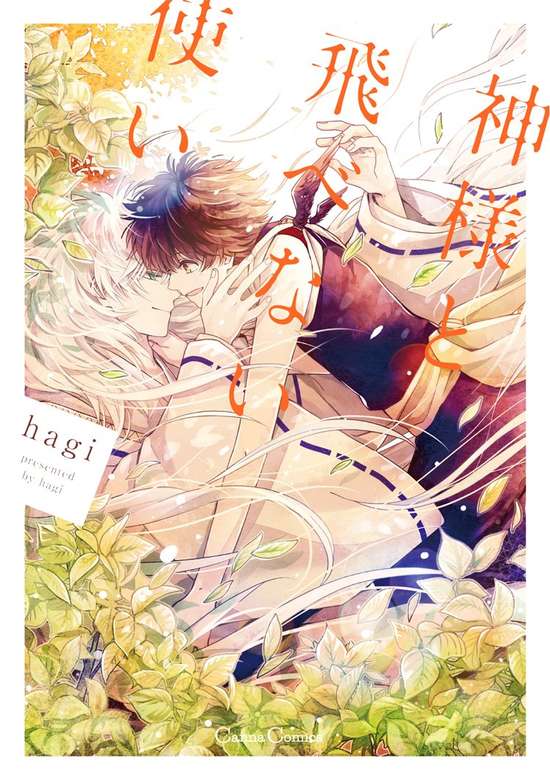 Copertina di The God and the Flightless Messenger