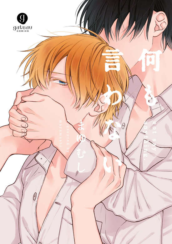 Copertina di Don't Say Anything