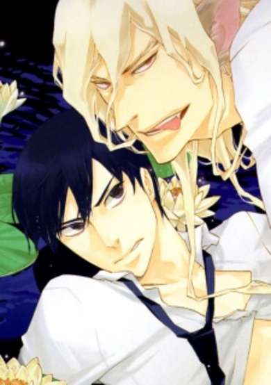 Copertina di A Strange & Mystifying Story