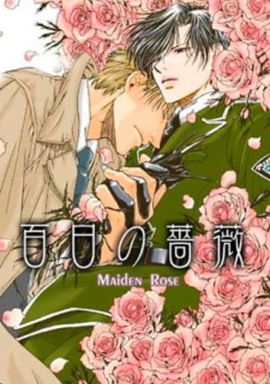 Copertina di Maiden Rose