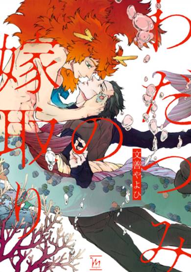 Copertina di Wadatsumi no Yometori