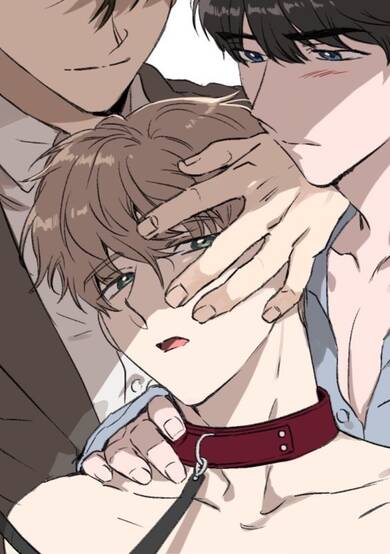 Copertina di Private Lessons