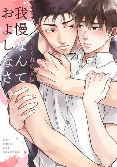 Copertina di Gaman Nante Oyoshinasai