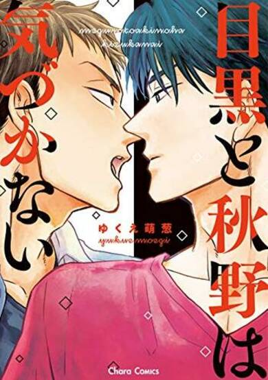 Copertina di Meguro And Akino Just Don't Realize