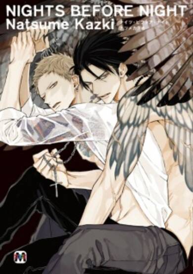 Copertina di Nights Before Night
