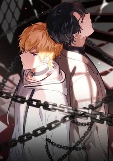 Copertina di High-End Player of Mystery