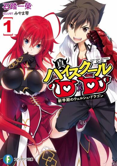 Copertina di True High School DxD
