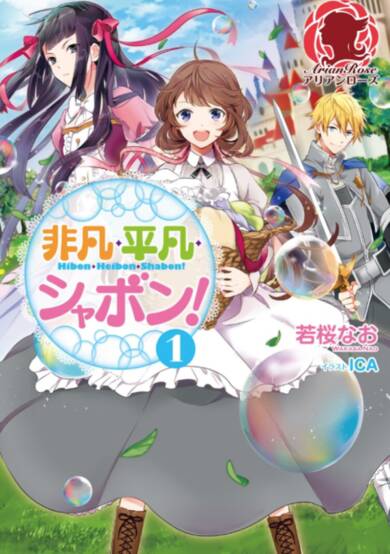 Copertina di The Extraordinary, the Ordinary, and SOAP!
