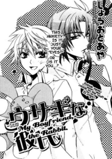 Copertina di Usagi na Kareshi