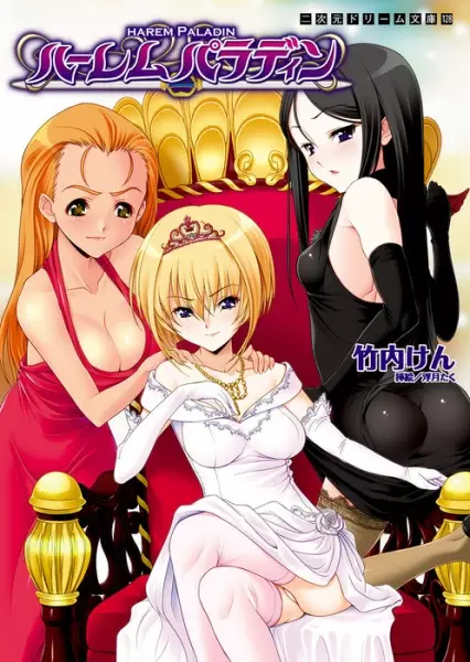 Copertina di Harem Paladin