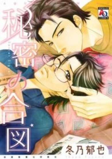 Copertina di Himitsu No Aizu