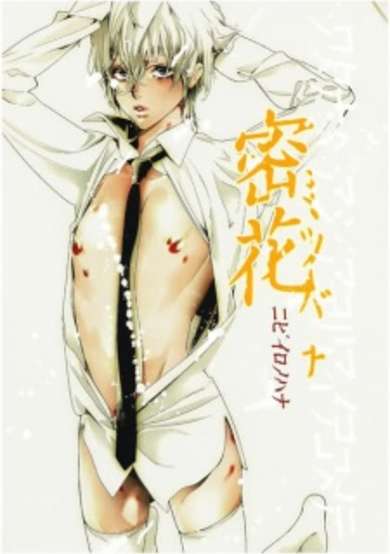 Copertina di Secret Flower