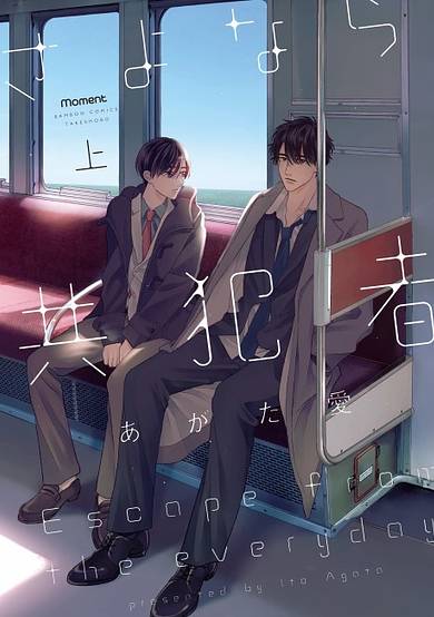 Copertina di Goodbye My Accomplice