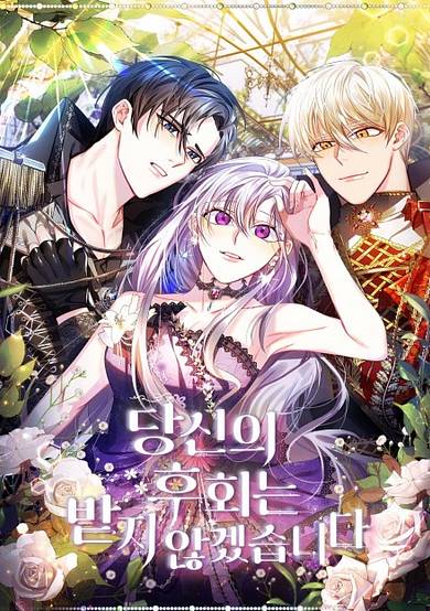 Copertina di I Won't Accept Your Regrets