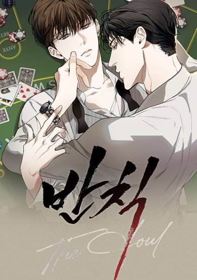 Copertina di The Fool