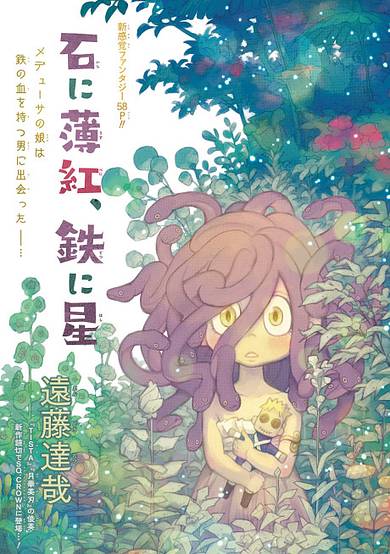 Copertina di A Pink Heart Inside Stone, and a Shining Star Inside Steel