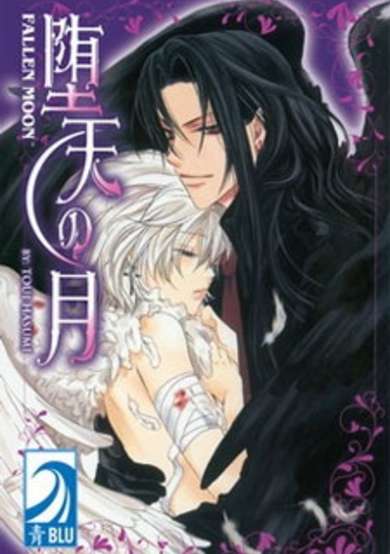 Copertina di Fallen Moon