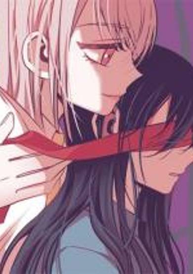 Copertina di Girl in the Birdcage