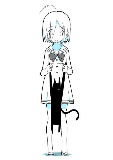 Copertina di It's a Cat