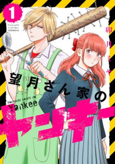 Copertina di Mochizuki-san Chi no Yankee