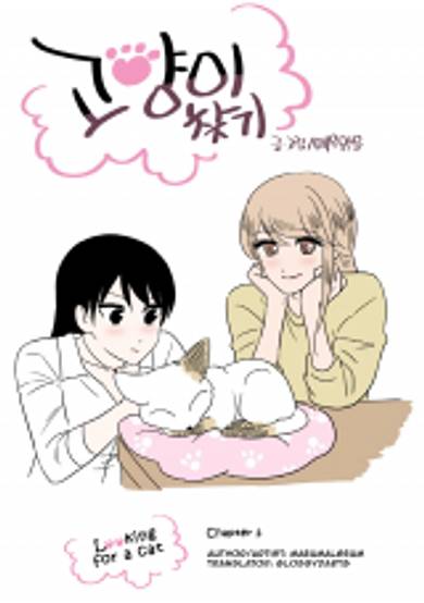 Copertina di Looking for a Cat