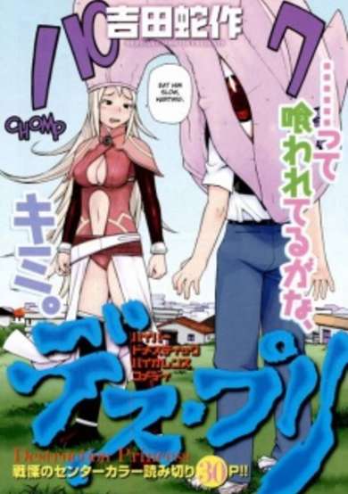 Copertina di Destruction Princess