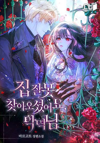Copertina di You’ve Got The Wrong House, Villain