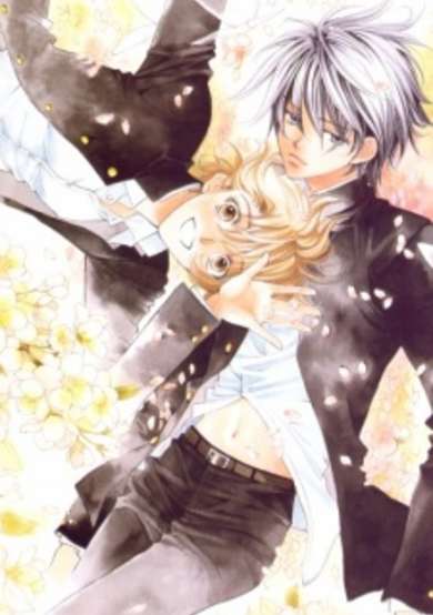 Copertina di Little Butterfly