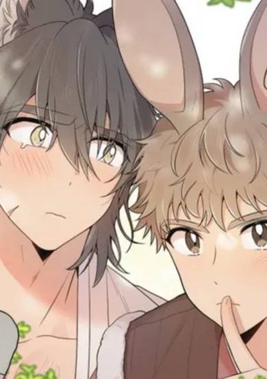 Copertina di Coincidence?