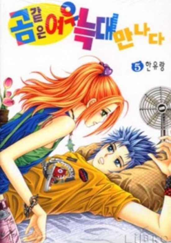 Copertina di The Bear-Like Fox Meets The Wolf