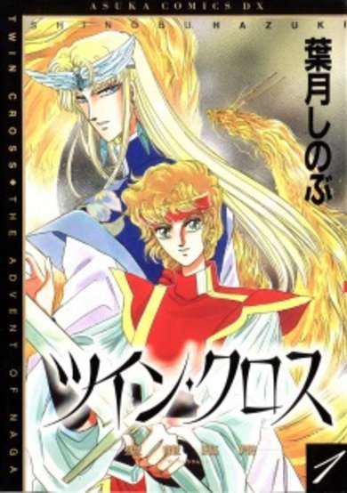 Copertina di Twin Cross