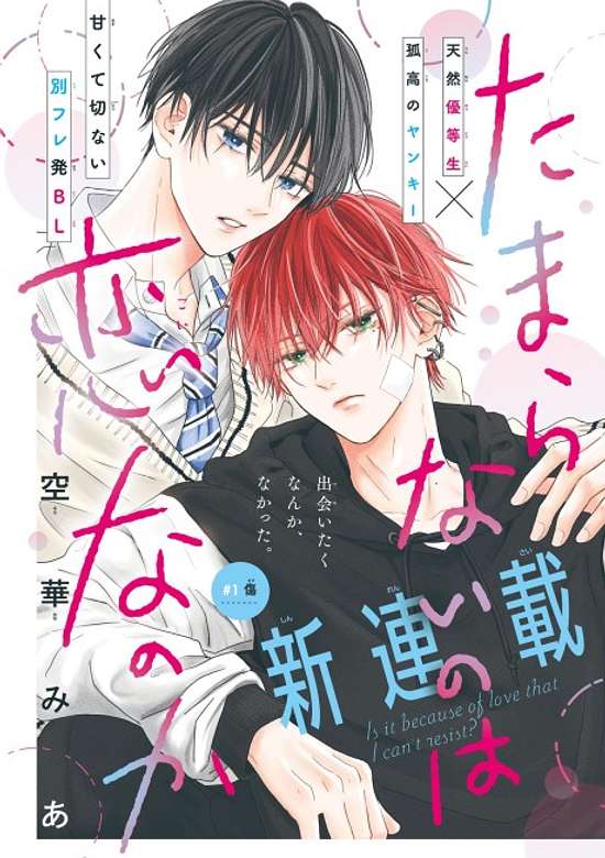 Copertina di Is It Because of Love That I Can't Resist?