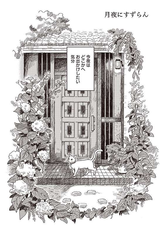 Copertina di Lily of the Valley Under the Moonlight