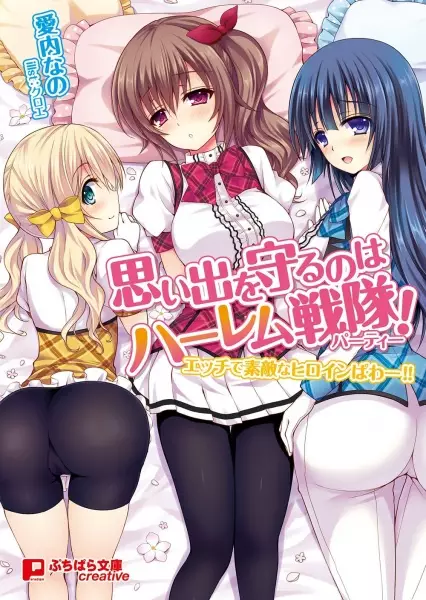Copertina di Omoide wo Mamoru no wa Harem Party