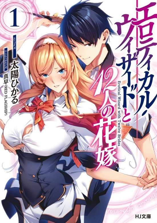 Copertina di Erotical Wizard with Twelve Brides