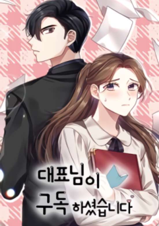 Copertina di CEO's Top Secret