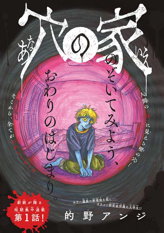 Copertina di House of Holes