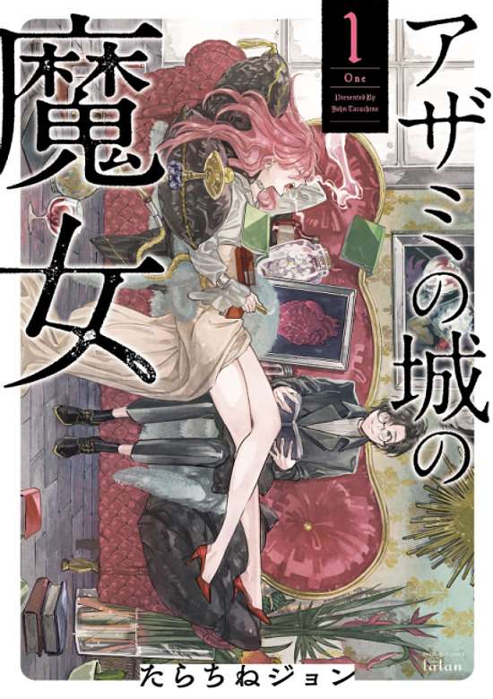 Copertina di Witch of Thistle Castle