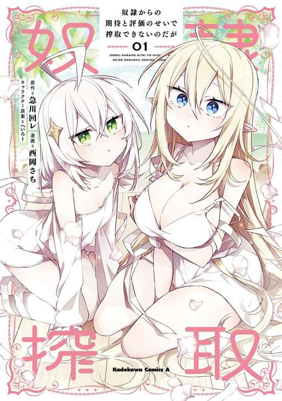 Copertina di Dorei Kara no Kitai to Hyouka no Sei de Sakushu Dekinai no da ga