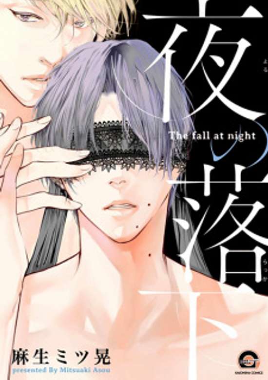 Copertina di The Fall at Night