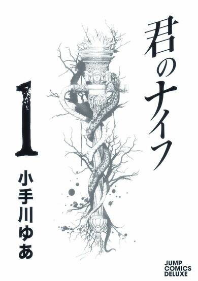 Copertina di Kimi no Knife