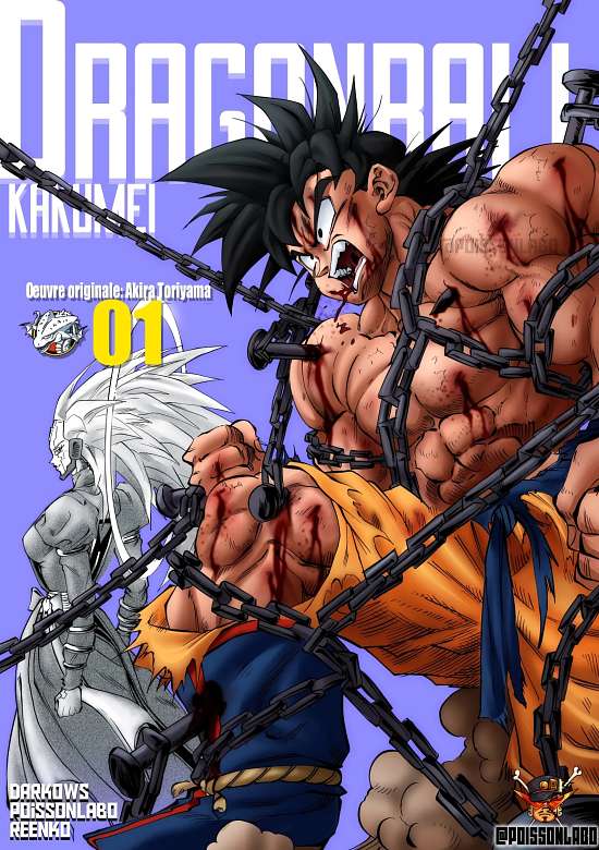 Copertina di Dragon Ball Kakumei