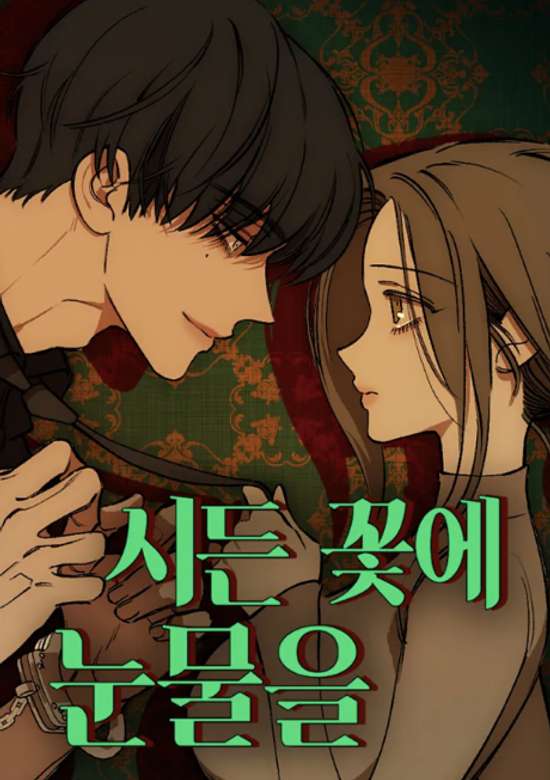 Copertina di Sideun Kkoche Nunmureul