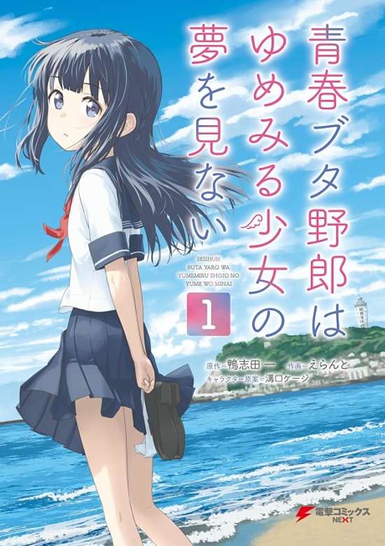 Copertina di Seishun Buta Yarou wa Yumemiru Shoujo no Yume wo Minai