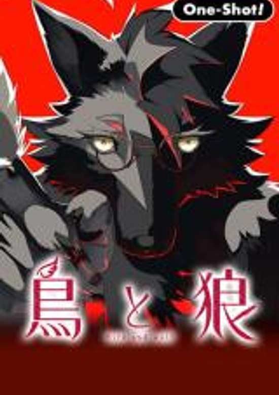 Copertina di Bird and Wolf