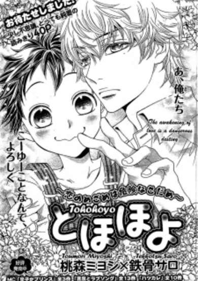Copertina di Tohohoyo